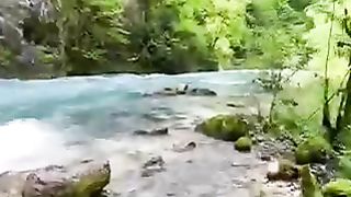 Любуйтесь красотой!❤️