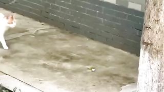 Mother slaps her child