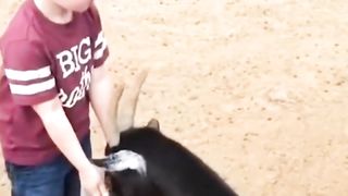 Cute Baby Videos - Funny Baby Compilation #shorts #babyvideos