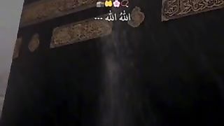 ❤️❤️❤️ 11