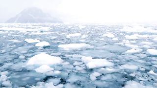 Relax Your Mind | Sleep Easy Relax | Beautiful Relaxing | Stunning | febspotvideo