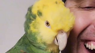 Holidays with my lovely pet