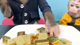 Приколи 293