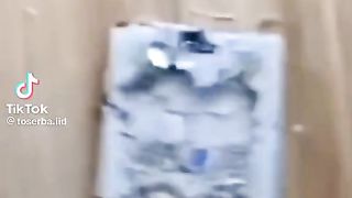 video lucu