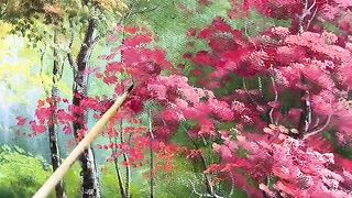 beautiful landscape painting created by creative hands part 10