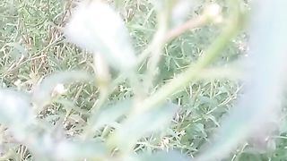 Animal lowers 6