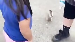 Animal thrusty