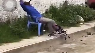 Trop drôle 6