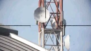 Call of duty warzone Clip