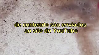 Curiosidades 2