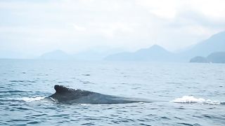 Ubatuba 4