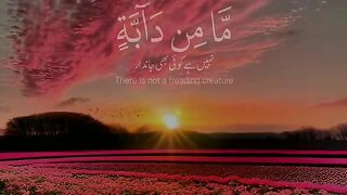 Holy Quran Verses
