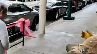 Top Funny Reactions of People!!