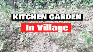 How to make kitchen garden at home in villages