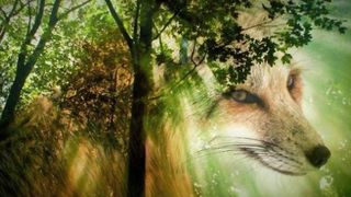 The story of our master Joseph, peace be upon him