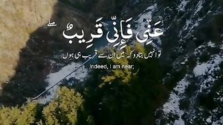 Holy Quran Verses 2