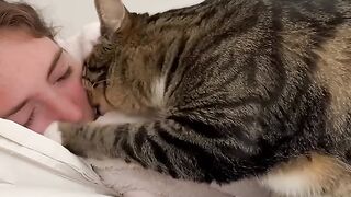 Meowsteries Revealed: Prepare to Be Amazed by These Cat Facts You've Never Heard Before 3