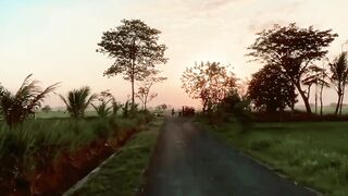 Alam Indonesia 11