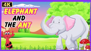 The elephant and ant