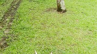 Villa tni puncak bogor
