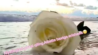 Сделай свои намерения красивыми, ты обязательно добьешься счастья