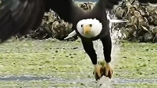 Incredible moments ????????????