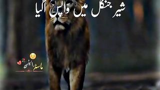 I am coming