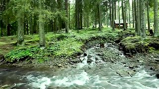 the sound of nature is cool and peaceful