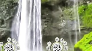 Beautiful  video #shortfeed # video