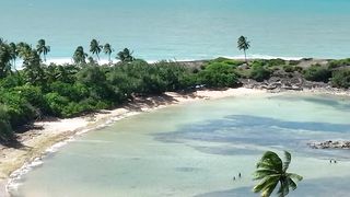 Pernambuco