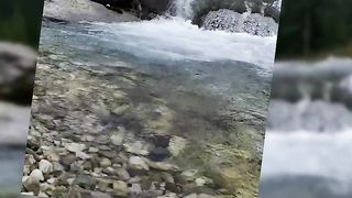 Kutipan dan inspirasi