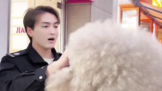 Cute Pet Story