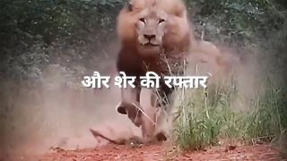 डर एक बहादुर को भी बुजदिल बना देता है