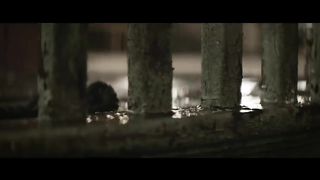 Counting stars by One Republic official music video