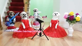 Bốn bé dành tình cảm cho Mother's day 2022|Four children give their love for Mother's day 2022.