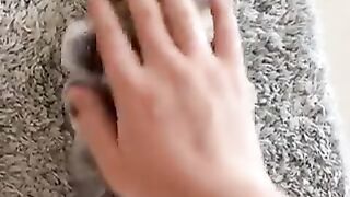Cute kitten.