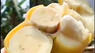 food carakter