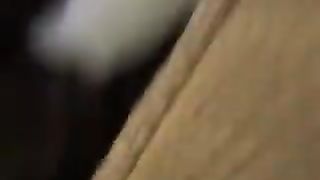 The cat that steals and eats