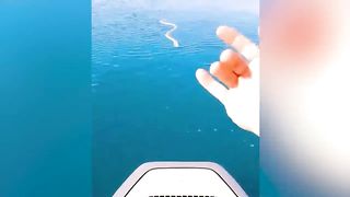 Most Unbelievable Moments EVER Caught On Camera!