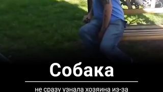 Попробуй не плакать