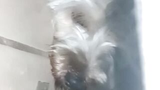 Minha mãe me encontrou de baixo da cama.