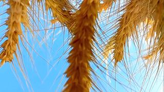 Beautiful Relaxing Screensaver Nature | Beautiful Meditation Video| febspot