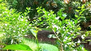 Beautiful Nature Video for Shorts | 4K Natural Video | Beautiful View | febspotvideo