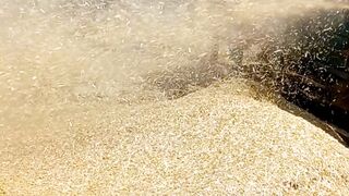 Nature Crops | Beautiful Calming Video | Amazing Scenery | Febspot Video