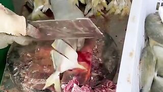 fish food