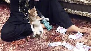 Funn video 4