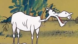 Cartoon network 7