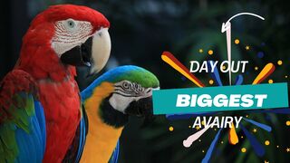 Visit of 3rd Largest Bird Aviary in World || Lakeview Park Islamabad