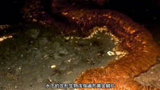 A dragon cave was discovered in a village in Hunan