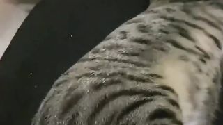 Just pee